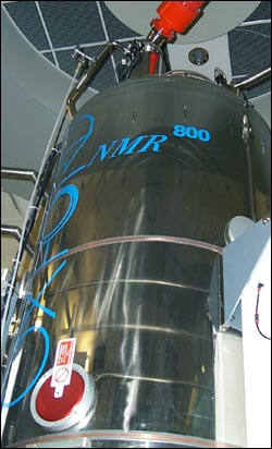 800 MHz magnet at Nanuc